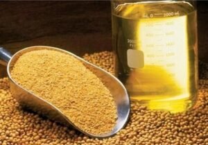 خبر اقتصادی : روغن نباتی از اول سال منتظر اختصاص ارز