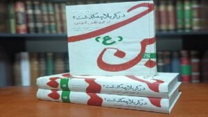 خبر فرهنگی هنری : کتاب «در کربلا چه گذشت؟» شاهکاری معتبر در تاریخ شهادت امام حسین (ع)